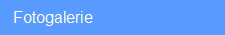   Fotogalerie