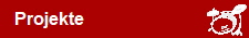   Projekte